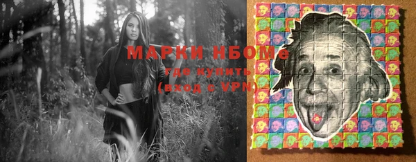 твердый Осташков