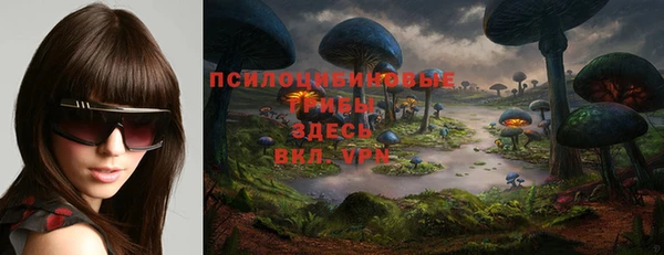 mix Алексин