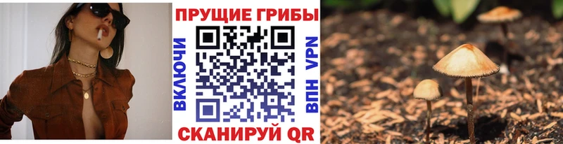 kraken онион  Приозерск  Псилоцибиновые грибы GOLDEN TEACHER 